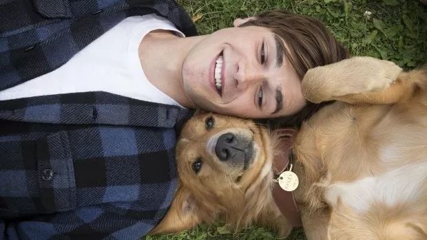 足球赌注软件APP|蛋白质过量表现及缺乏症状