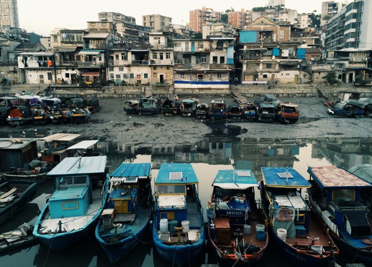 蓝莓叶黄素酯片OEM贴牌加工 改善视力:足球赌注软件(图2) 十大足球赌注软件排行榜