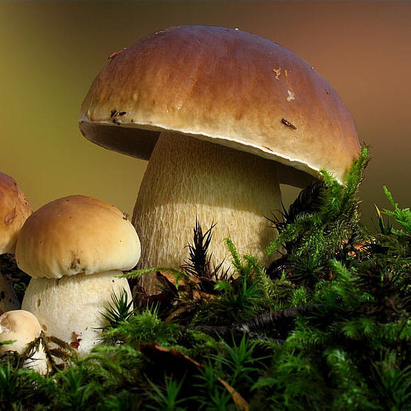 年薪百万的影视制作人必备的专业书|十大足球赌注软件排行榜(图3) 足球赌注软件APP