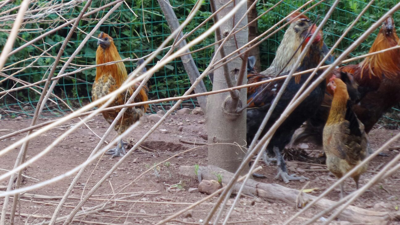 祛斑的由来及注意事项“十大足球赌注软件”