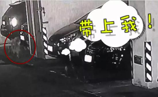 蓝帽大豆异黄酮维E软胶囊 增加骨密度【足球赌注软件APP】(图3) 十大足球赌注软件