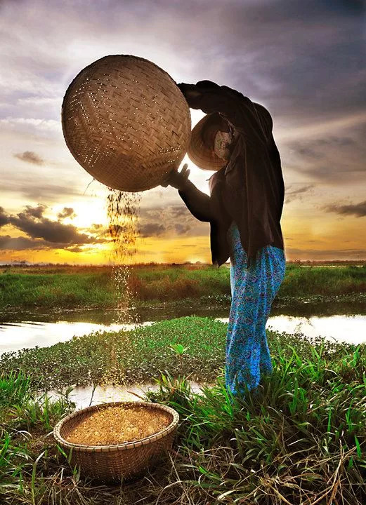 GT Nexus将为惠普提供全球供应链可见性和物流控制云端平台“十大足球赌注软件”(图1) 十大足球赌注软件