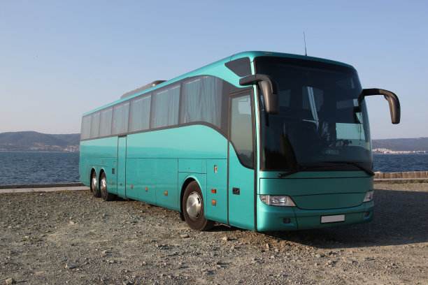 十大足球赌注软件排行榜_补硒产品农科院专利 天然有机硒-金硒宝(图4) 足球赌注软件