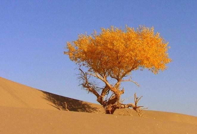 十大足球赌注软件