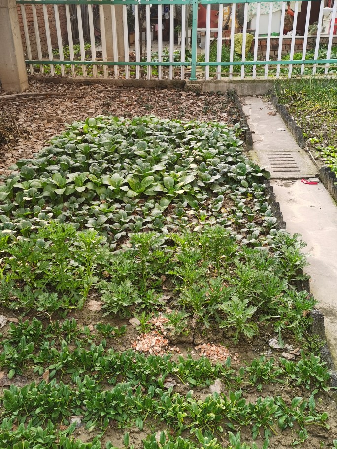 十大足球赌注软件排行榜