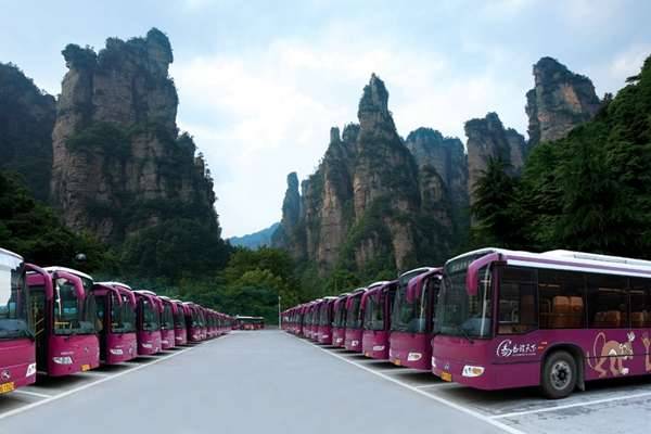 十大足球赌注软件