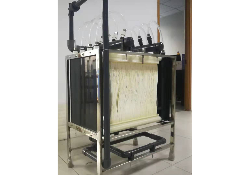 ‘十大足球赌注软件’高中生如何做好留学规划(图2) 足球赌注软件APP