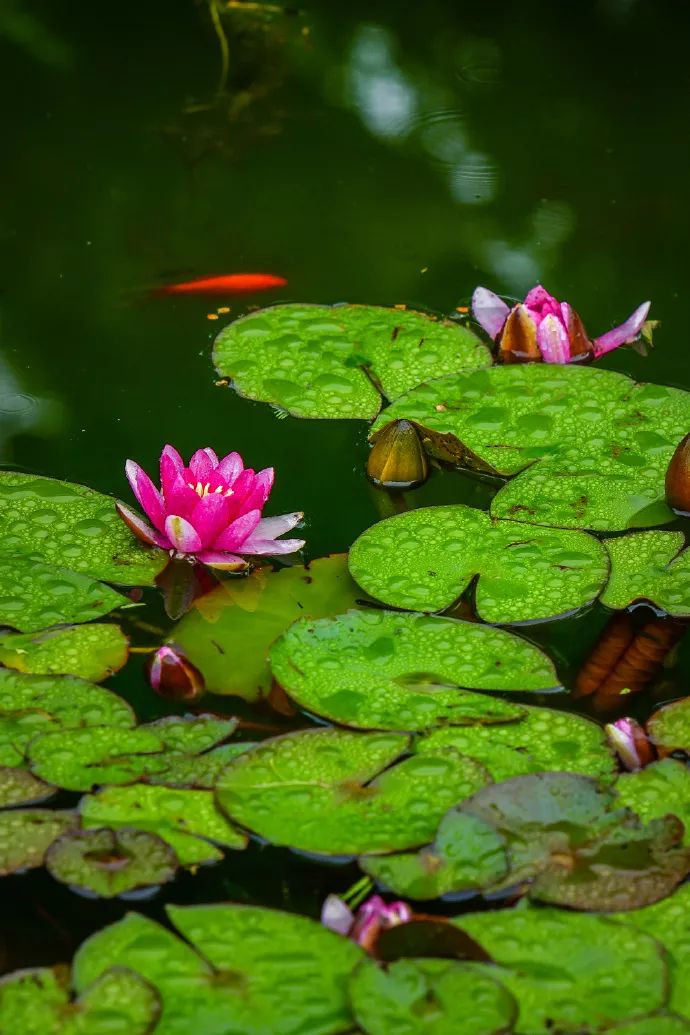 安徽:关于做好农村生活垃圾治理存在问题排查整改工作的通知_政策法规_新闻_矿道网-十大足球赌注软件排行榜(图2) 十大足球赌注软件排行榜