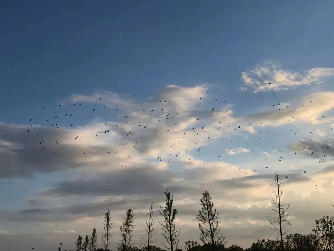 十大足球赌注软件