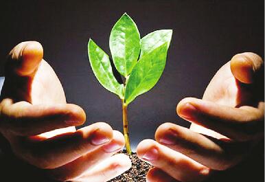 ‘十大足球赌注软件排行榜’加盟哪个灰指甲品牌有优势(图4) 足球赌注软件APP