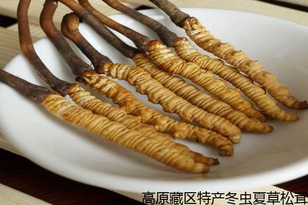 足球赌注软件APP