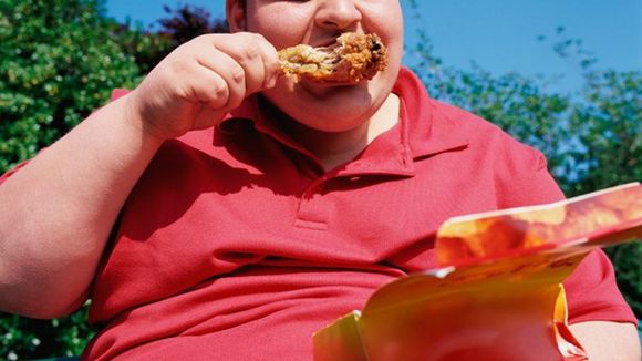 足球赌注软件APP：印尼发现高致命禽流感病毒  数十万只鸭子