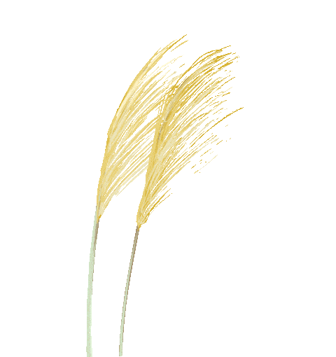 首创区域新媒体 流传香坊好声音(三)“十大足球赌注软件排行榜”(图10)
首创区域新媒体 流传香坊好声音(三)“十大足球赌注软件排行榜”(图10)