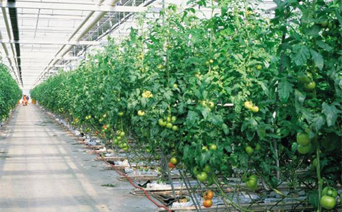 十大足球赌注软件-
橱柜台面怎么选?有哪些优缺点呢?(图2) 十大足球赌注软件排行榜