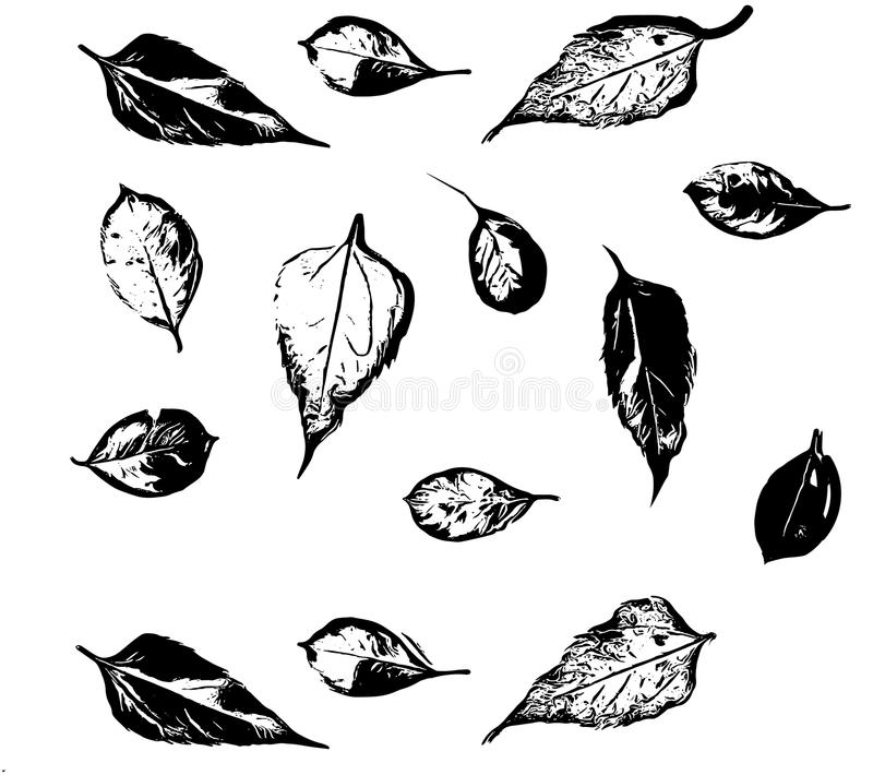 ‘十大足球赌注软件’鱼油胶丸与哪些食物搭配效果最好?(图1) 足球赌注软件APP