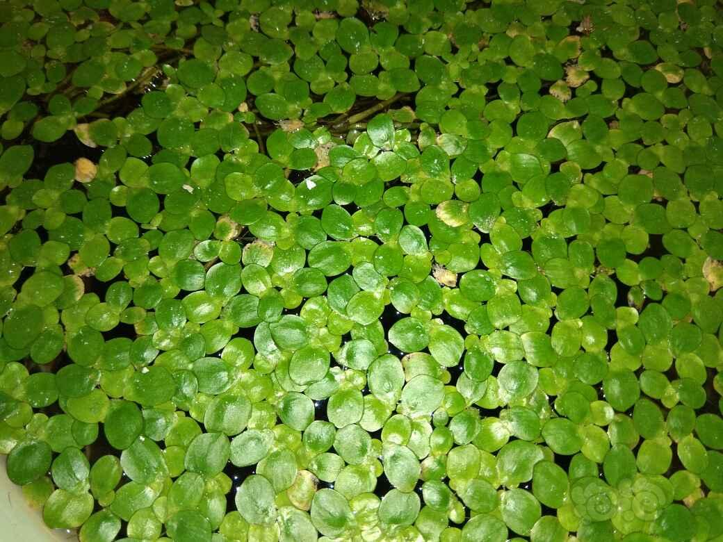 大展京纶——天威耗材35周年熔积行动走进北京‘十大足球赌注软件排行榜’(图3) 十大足球赌注软件