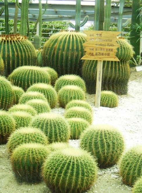 墨西哥对亚洲出口产品从肉类食品和矿产品向汽车和机械设备转变【十大足球赌注软件】(图1) 足球赌注软件