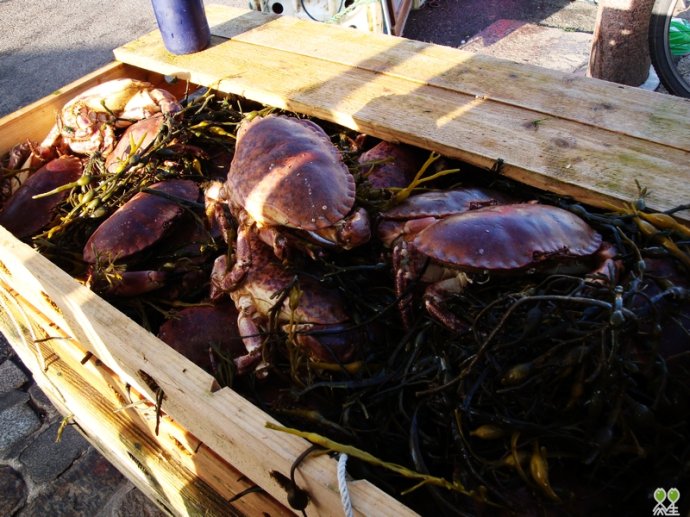 十大足球赌注软件排行榜