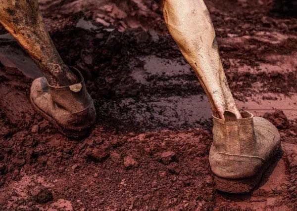 足球赌注软件|中国最大钢企如何压减502万吨产能?(图1) 十大足球赌注软件