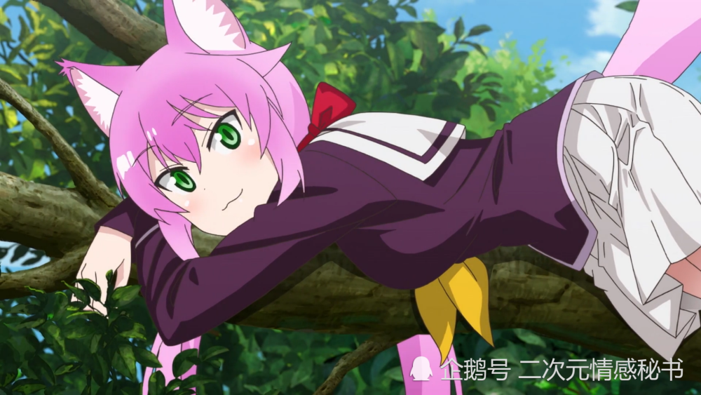 足球赌注软件APP