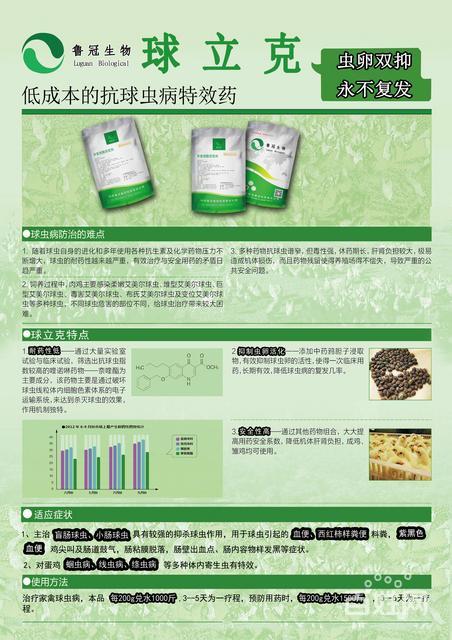 十大足球赌注软件