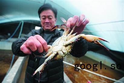 足球赌注软件