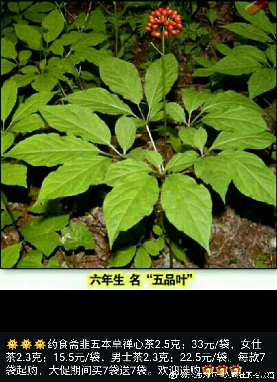 足球赌注软件